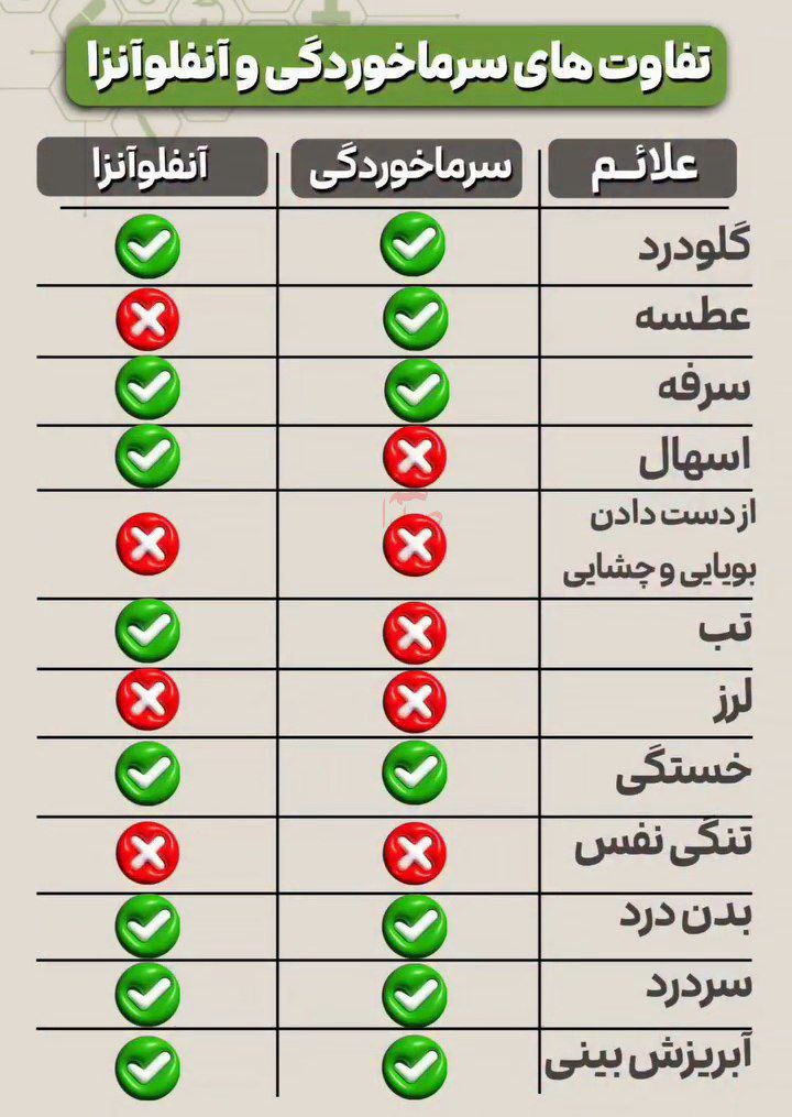 photo_2025-11-12_03-39-52