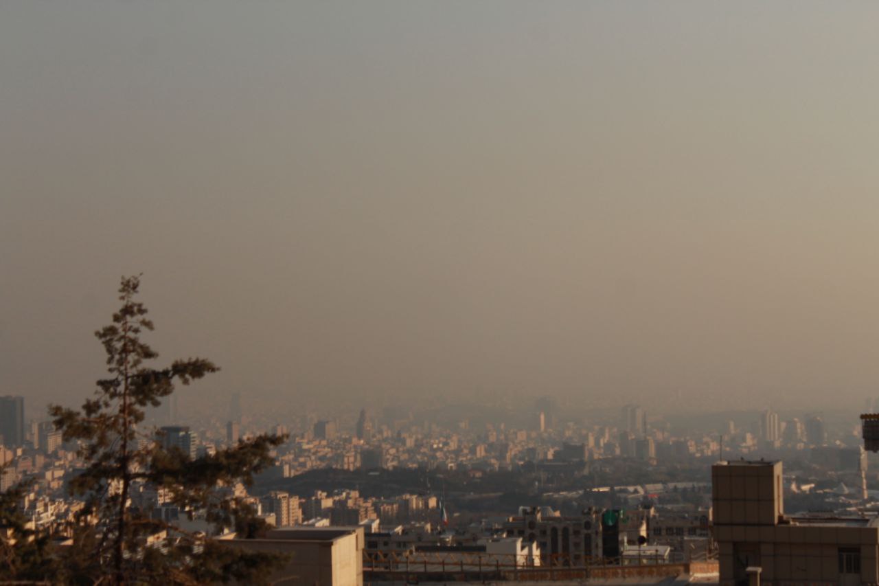 photo_4_2025-11-28_17-29-44