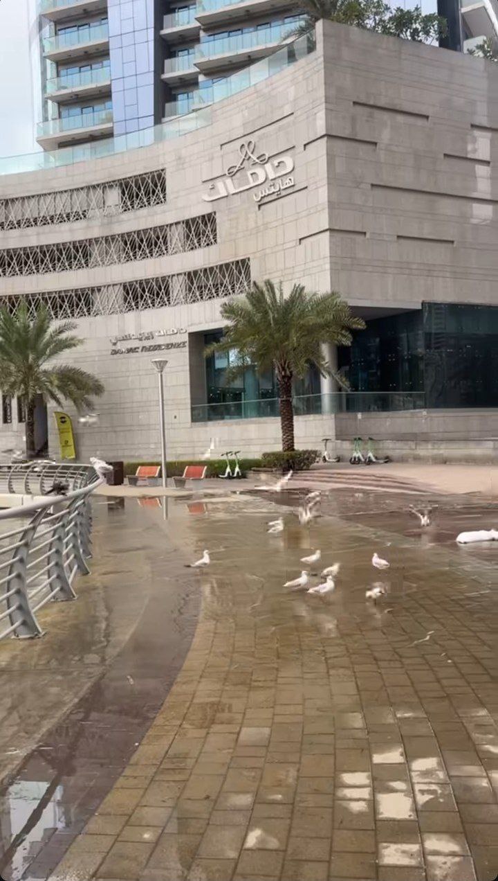 photo_2025-12-20_01-06-49