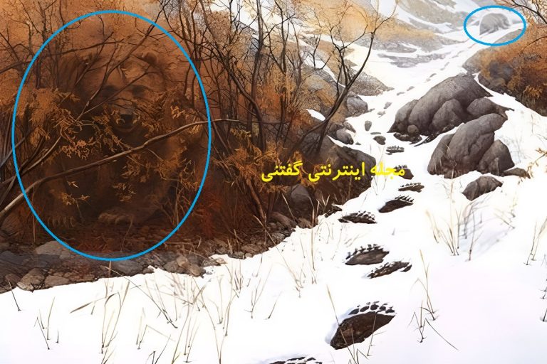 پاسخ-تست-بینایی-یافتن-2-خرس-در-طبیعت-برفی-768x512