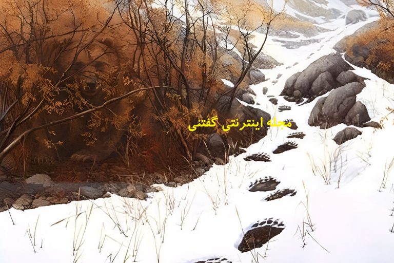 تست-بینایی-یافتن-2-خرس-در-طبیعت-برفی-768x512