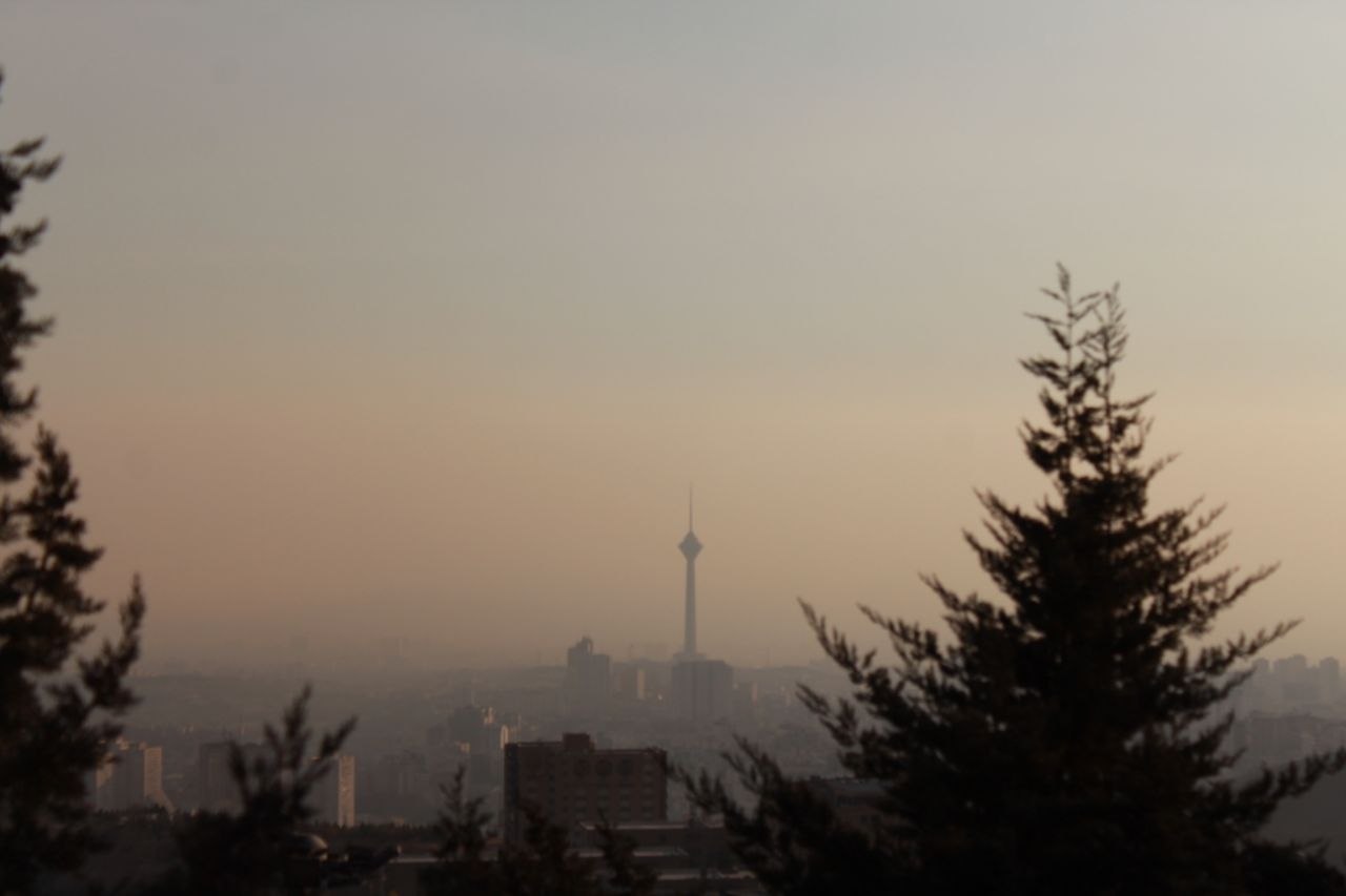 photo_3_2025-11-28_17-29-44