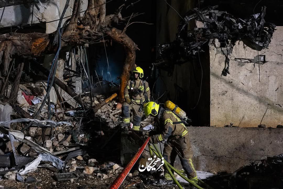 photo_2026-03-11_03-30-54