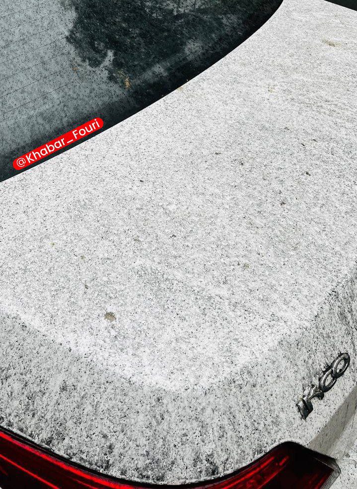 photo_2026-03-08_11-24-46