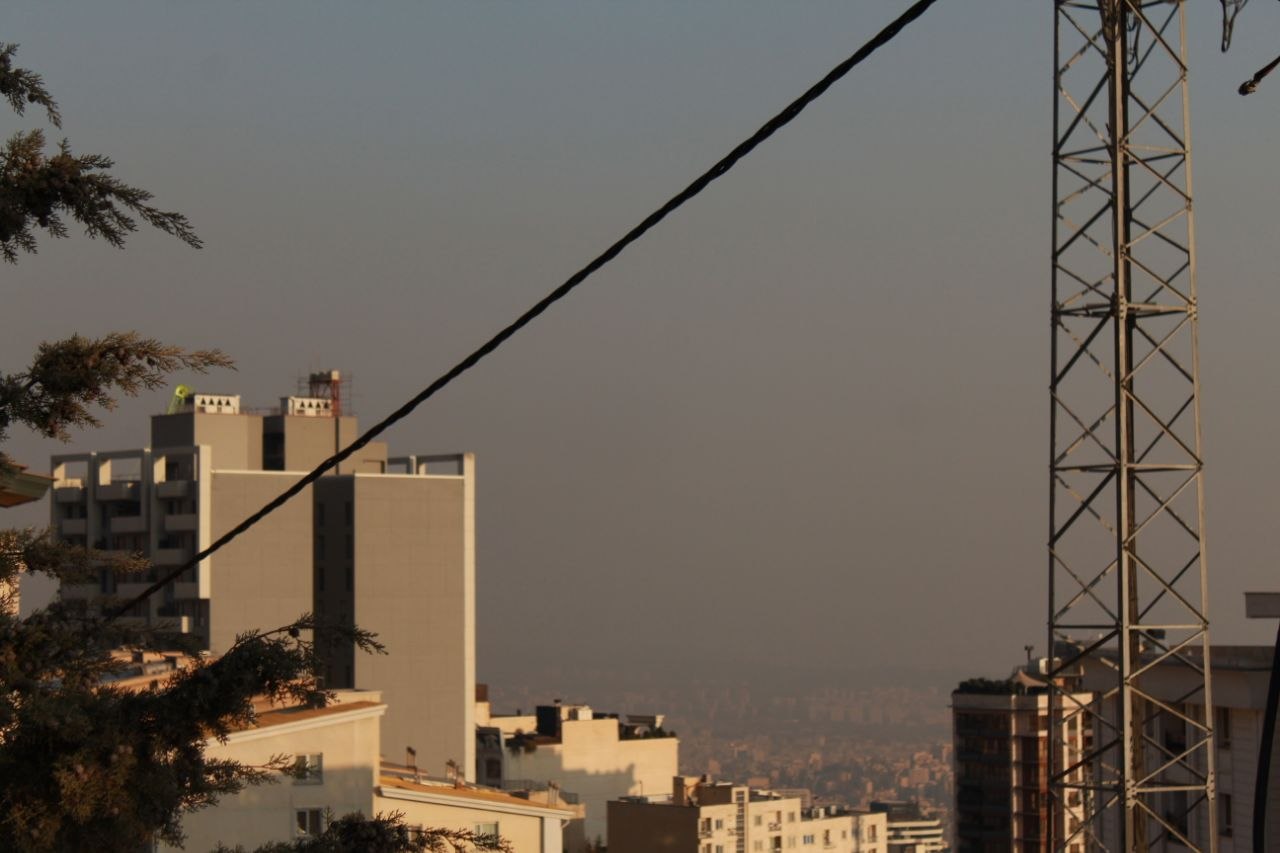 photo_6_2025-11-28_17-29-44