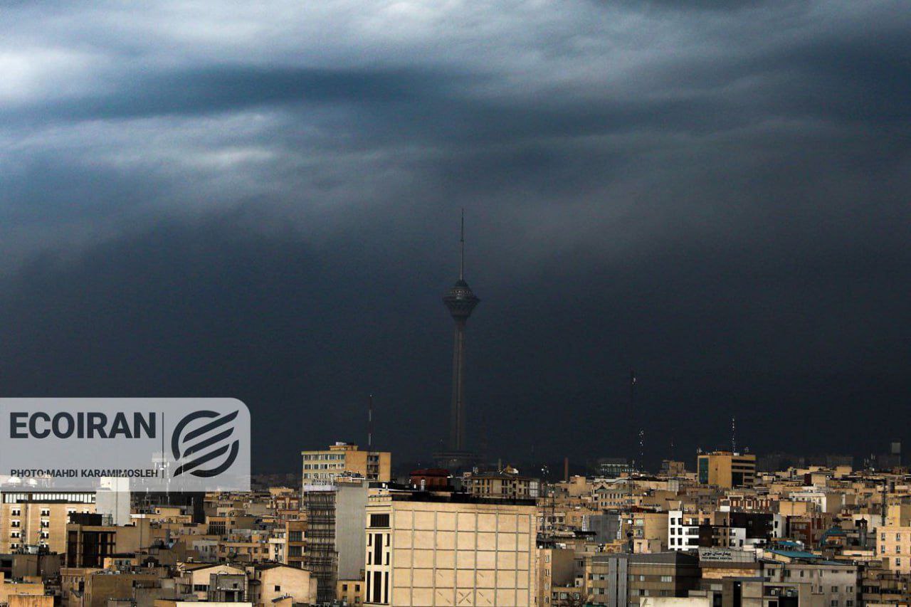 photo_2026-03-08_15-21-58