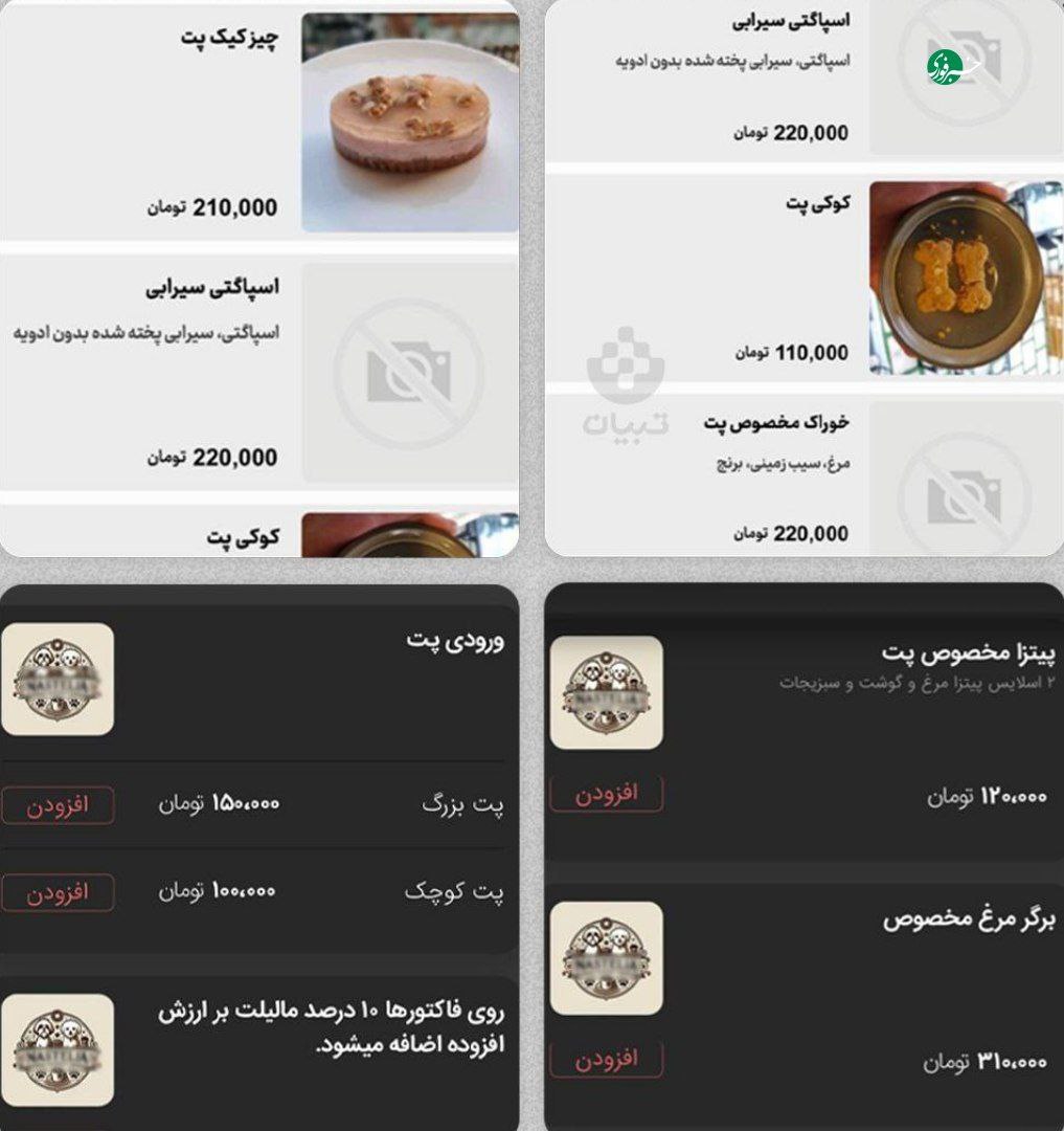 photo_2025-11-12_20-52-42