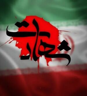دختر 22 ساله ای که در عروسی سیریک شهید شد