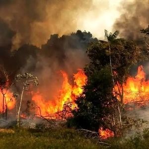 ایران برای خاموش کردن آتش از همسایه‌ها درخواست کمک فوری کرد