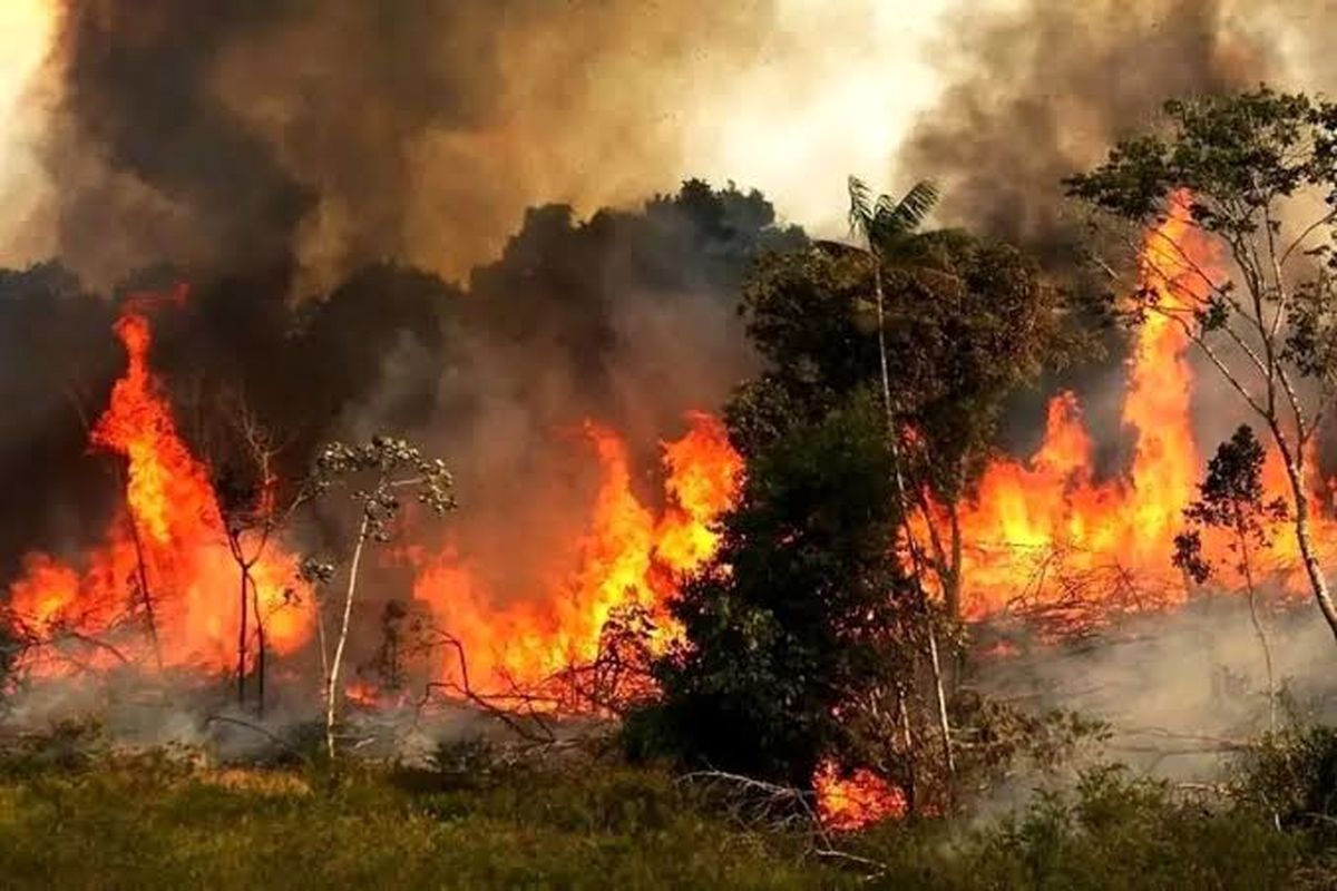 ایران برای خاموش کردن آتش از همسایه‌ها درخواست کمک فوری کرد