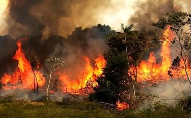 ایران برای خاموش کردن آتش از همسایه‌ها درخواست کمک فوری کرد