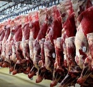 فروش گوشت خر و الاغ و اسب/ در جامعه چه خبر است؟