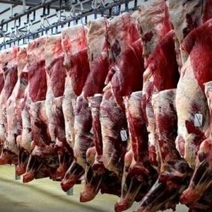 فروش گوشت خر و الاغ و اسب/ در جامعه چه خبر است؟