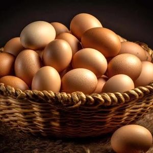 قیمت جدید تخم مرغ درب کارخانه اعلام شد