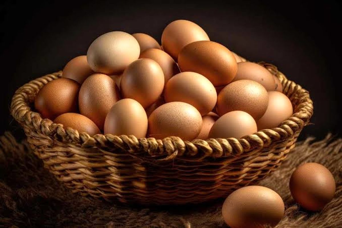 قیمت جدید تخم مرغ درب کارخانه اعلام شد