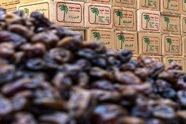 قیمت خرما برای ماه رمضان چند؟