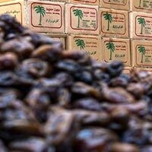 قیمت خرما برای ماه رمضان چند؟