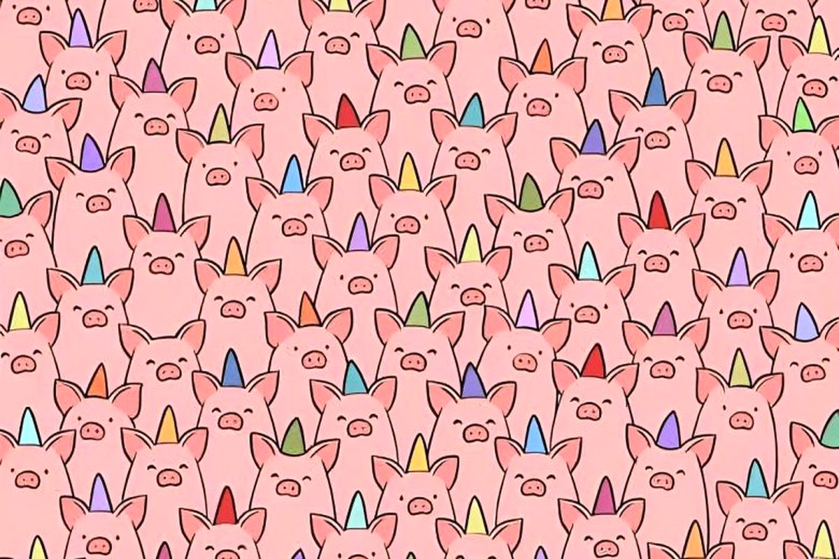 سه خوک بدون کلاه را در تصویر پیدا کنید!