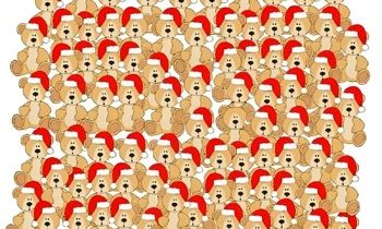 خرس عروسکی بدون کلاه بابانوئل را فقط در 6 ثانیه پیدا کنید