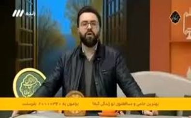 مجری صداسیما خطاب به معترضین: به این تفاله‌ها بگین توی خیابون بدوند/ ویدئو