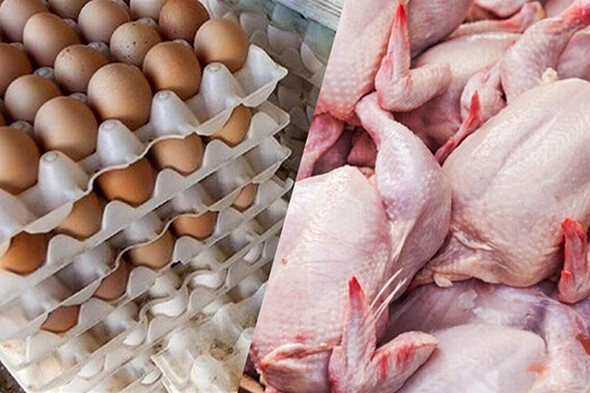 قیمت جدید مرغ و تخم مرغ اعلام شد