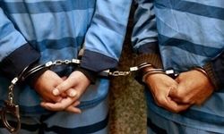 دستگیری سارقین مشاعات با ۴۳ فقره سرقت در شیراز