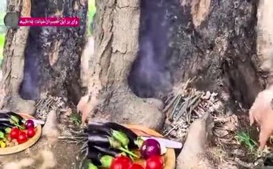 خشم مردم از حرکت زشت بلاگر زن ایرانی/ ویدئو