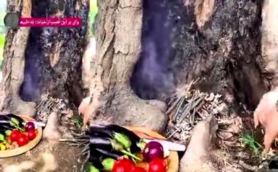 خشم مردم از حرکت زشت بلاگر زن ایرانی/ ویدئو