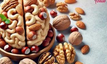 این مغز آجیلی برای کم‌توانی جنسی و ضعف حافظه مفید است