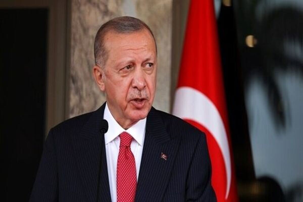 دست انداختن مکرون توسط اردوغان/ ویدئو 