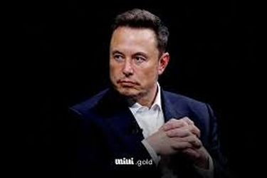 اعتراف جنجالی ایلان ماسک درباره جزیره اپستین