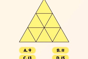 مهارت های هوشی خود را با یافتن تعداد مثلث های داخل تصویر اثبات کنید!