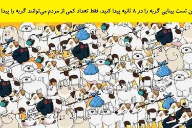 در این تست بینایی گربه را در 8 ثانیه پیدا کنید