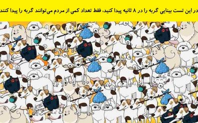در این تست بینایی گربه را در 8 ثانیه پیدا کنید