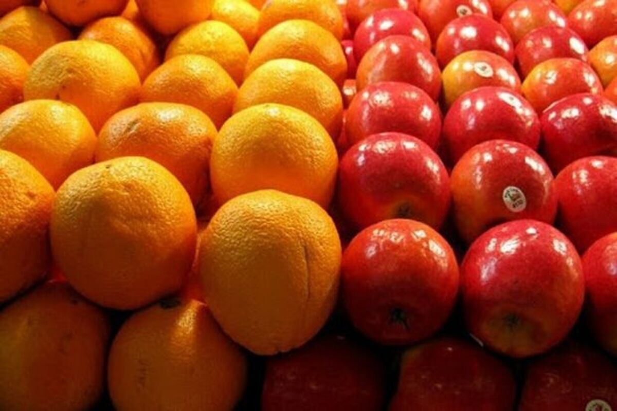 فروش میوه بصورت «دانه‌ای» شد!/ عکس