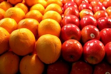 فروش میوه بصورت «دانه‌ای» شد!/ عکس