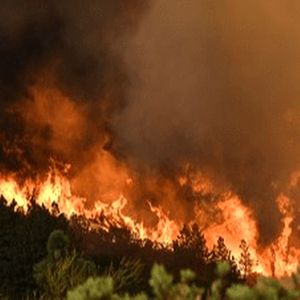 ردپای انسان در آتش‌سوزی جنگل‌های چالوس؟