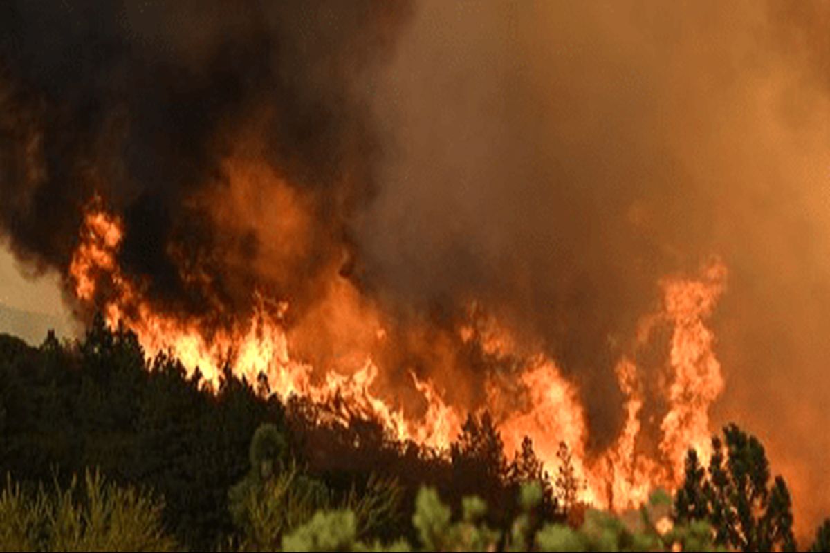 ردپای انسان در آتش‌سوزی جنگل‌های چالوس؟