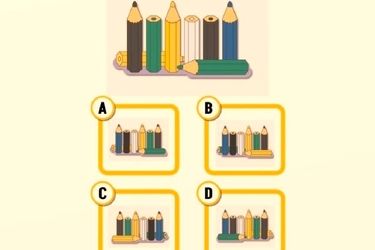 نمای پشت مدادهای رنگی را پیدا کنید!
