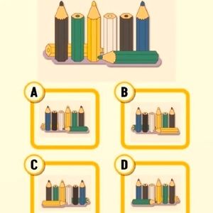 نمای پشت مدادهای رنگی را پیدا کنید!