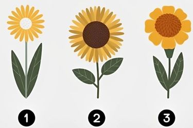 یکی از گل های زرد را انتخاب کنید تا بفهمید چه اندازه اهل ماجراجویی هستید!