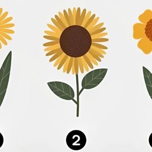 یکی از گل های زرد را انتخاب کنید تا بفهمید چه اندازه اهل ماجراجویی هستید!