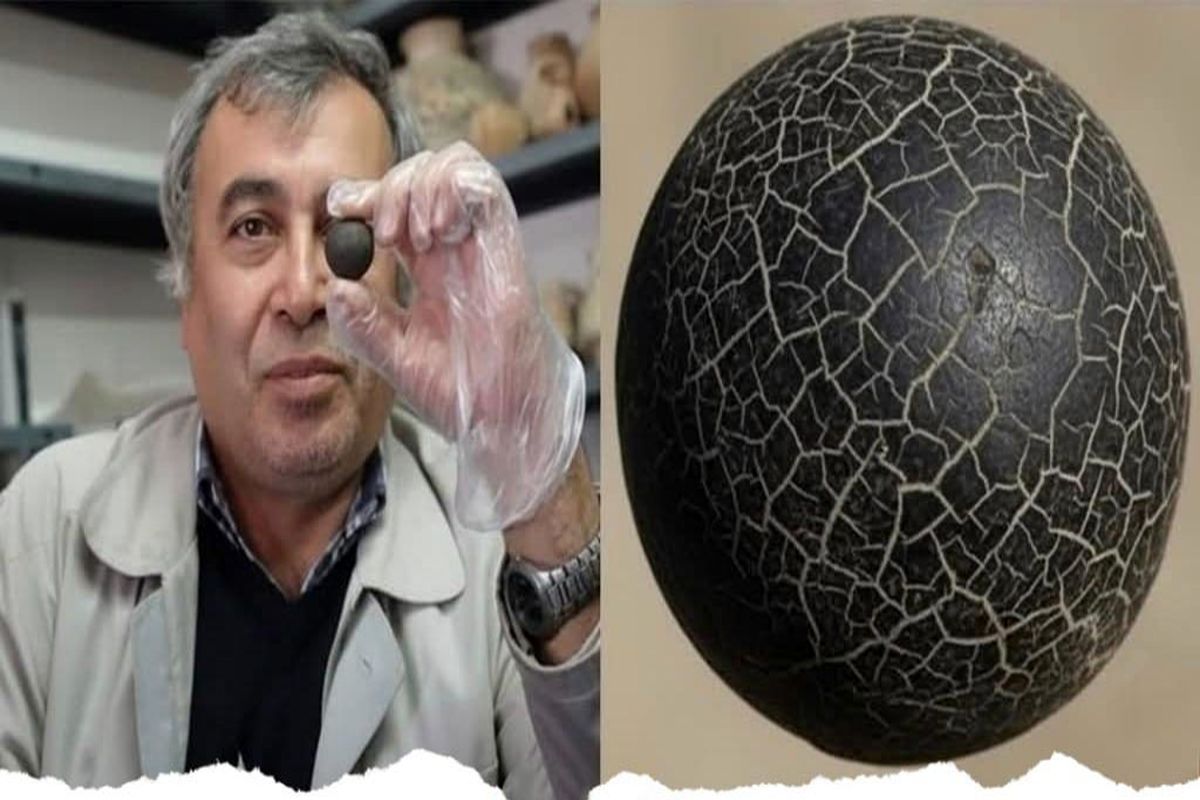 کهن‌ترین پروتز جهان در «قوطی کبریت» نگهداری می‌شود!