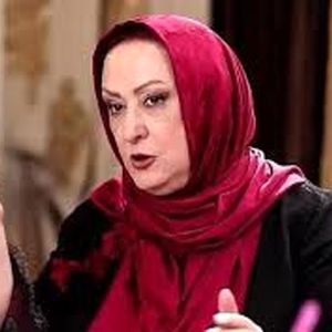 مریم امیرجلالی، الناز ملک را دروغگو خطاب کرد