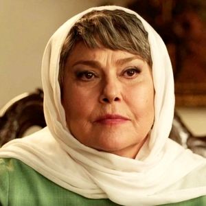 مهرانه مهین‌ترابی، مجری شد