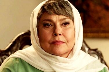 مهرانه مهین‌ترابی، مجری شد