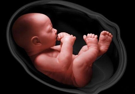 ماجرای آگهی «فروش 8 جنین» چه بود؟