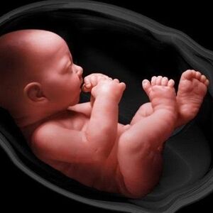 ماجرای آگهی «فروش 8 جنین» چه بود؟