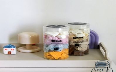 بستنی خشک؛ لذتی نو با طعم‌های ماندگار در اکسیر