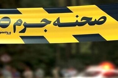 قتل کارمند دانشگاه تهران به دست همسرش
